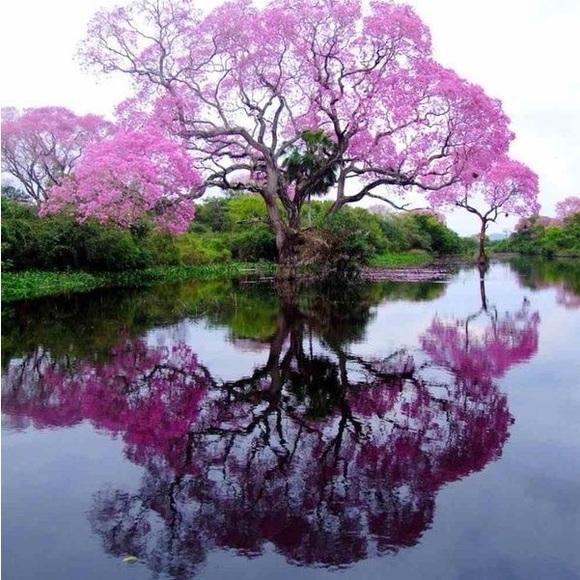 Birthday bash - Picture 3 of 9